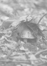 Natural Mushroom Theme