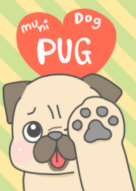 muni dog pug