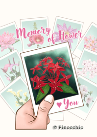 Memory of flower