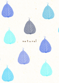 Leaf blue color6