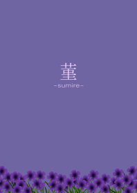 -sumire-