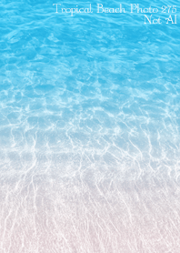 Tropical Beach Photo 275 Not AI