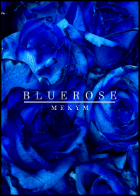 BLUE ROSE-MEKYM- 25
