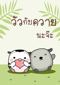 ควาย : วัว เพื่อนซี้ดุ๊กดิ๊ก