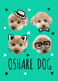 OSHARE DOG