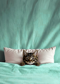 療癒趣味蓋棉被貓咪-三花貓 1B 薄荷粉綠色