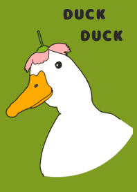 Duck Duck - Olive green ver.