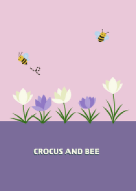 Crocus and bee / purple x pink