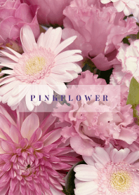 PINK FLOWER -NATURAL-46