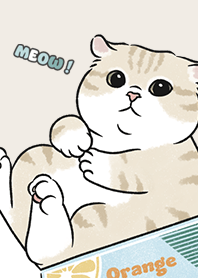 neko single17 / beige