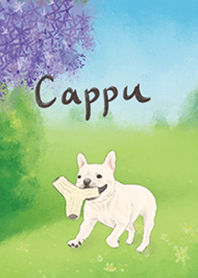 Frenchbulldog-Cappu-revised edition