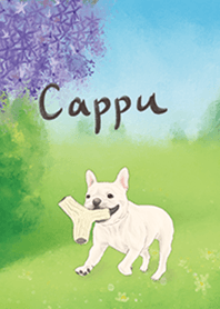 法鬥Cappu-布會忘記妳-修正