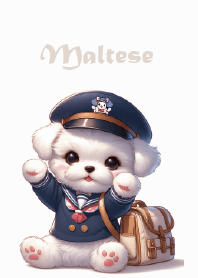 Maltese-Toby puppy in navy uniform2