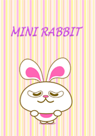Mini rabbit
