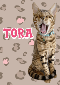 Theme TORA