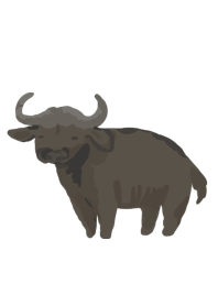 Buffalo black