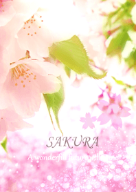 Cherry blossoms that bring good luck3.