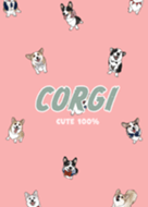 corgicorgi7 / coral
