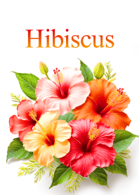 "Hibiscus vol.1" theme