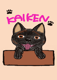 KAIKEN(Japanesedog)