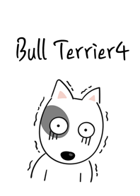 Cute Bull Terrier4