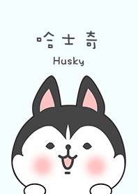 misty cat-husky(dog)
