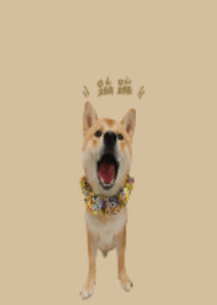 來個蹦蹦