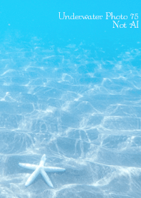 Underwater Photo75 Not AI