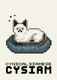 Cysiam the cynical siamese cat