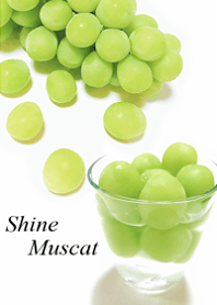 My favorite, the Shine Muscat15.