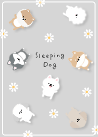 Sleeping Dog 01_2