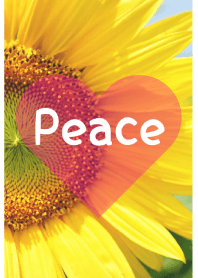 ＝Sunflower＝ 25