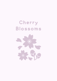 Cherry Blossoms11<PurplePink>
