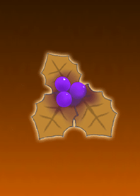 Hiiragi Purple Orange @ Winter Feature