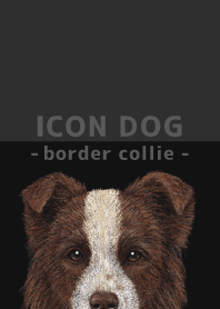 ICON DOG - Border Collie - BLACK/02