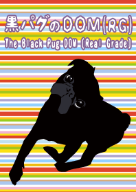 黒パグのDOM。[RG]