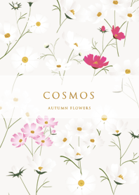 brown♡stylish秋桜03_1
