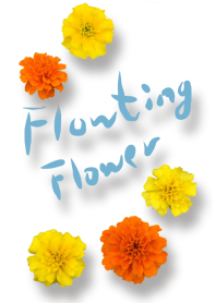 Floating flower ~マリーゴールド~