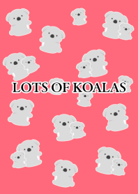LOTS OF KOALAS-RED