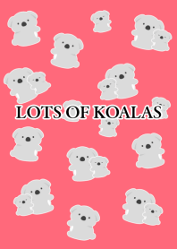 LOTS OF KOALAS/RED