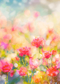 Beautiful rose flower(R3710)