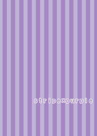 stripe×purple