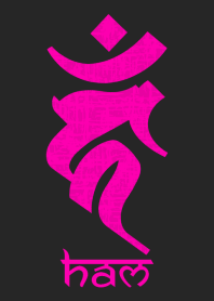 BONJI [haM] BLACK PINK (0097