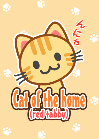 Cat of my home(red tabby)