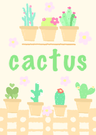 กระบองเพรชมินิมอล