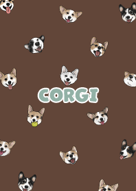 corgicorgi6 / dark brown