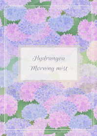 Hydrangea Morning Mist