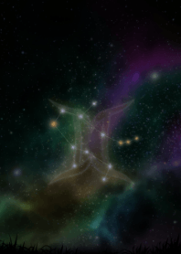 Starry sky and Gemini 2022