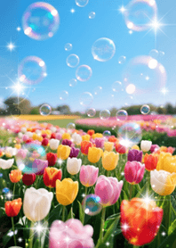 Good luck! Tulips