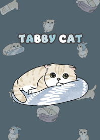 creamtabby3 / dark steel blue
